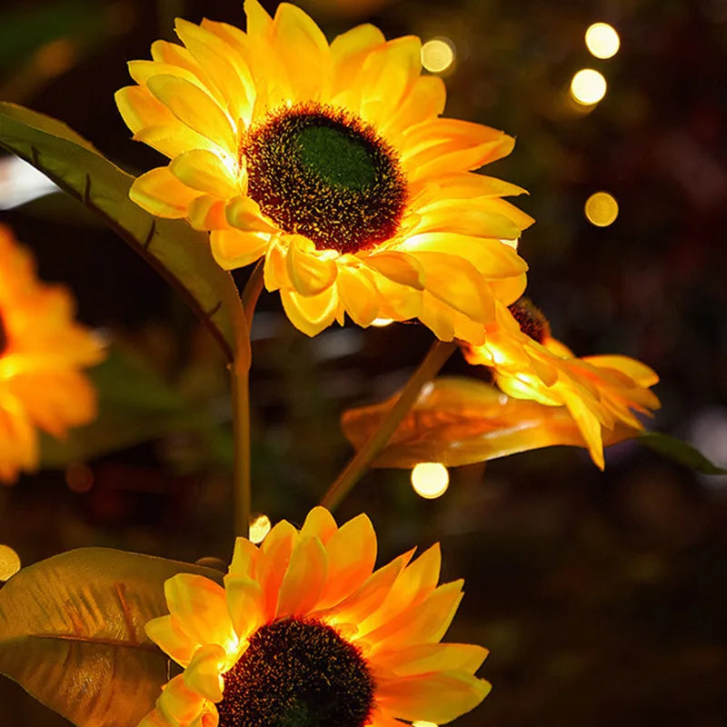 Fairy Lights Outdoor