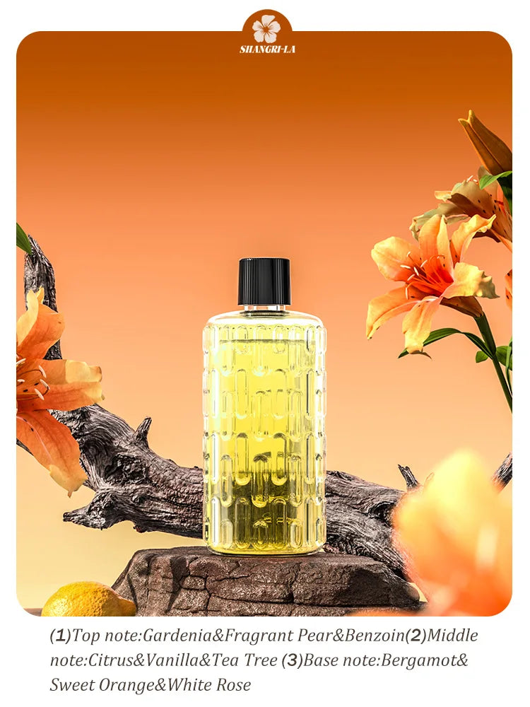 USB Automatic Aromatherapy Machine Hotel Timed Spray