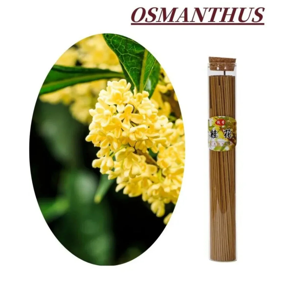 120Pcs/box Natural Incense Stick