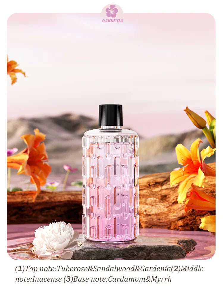 USB Automatic Aromatherapy Machine Hotel Timed Spray