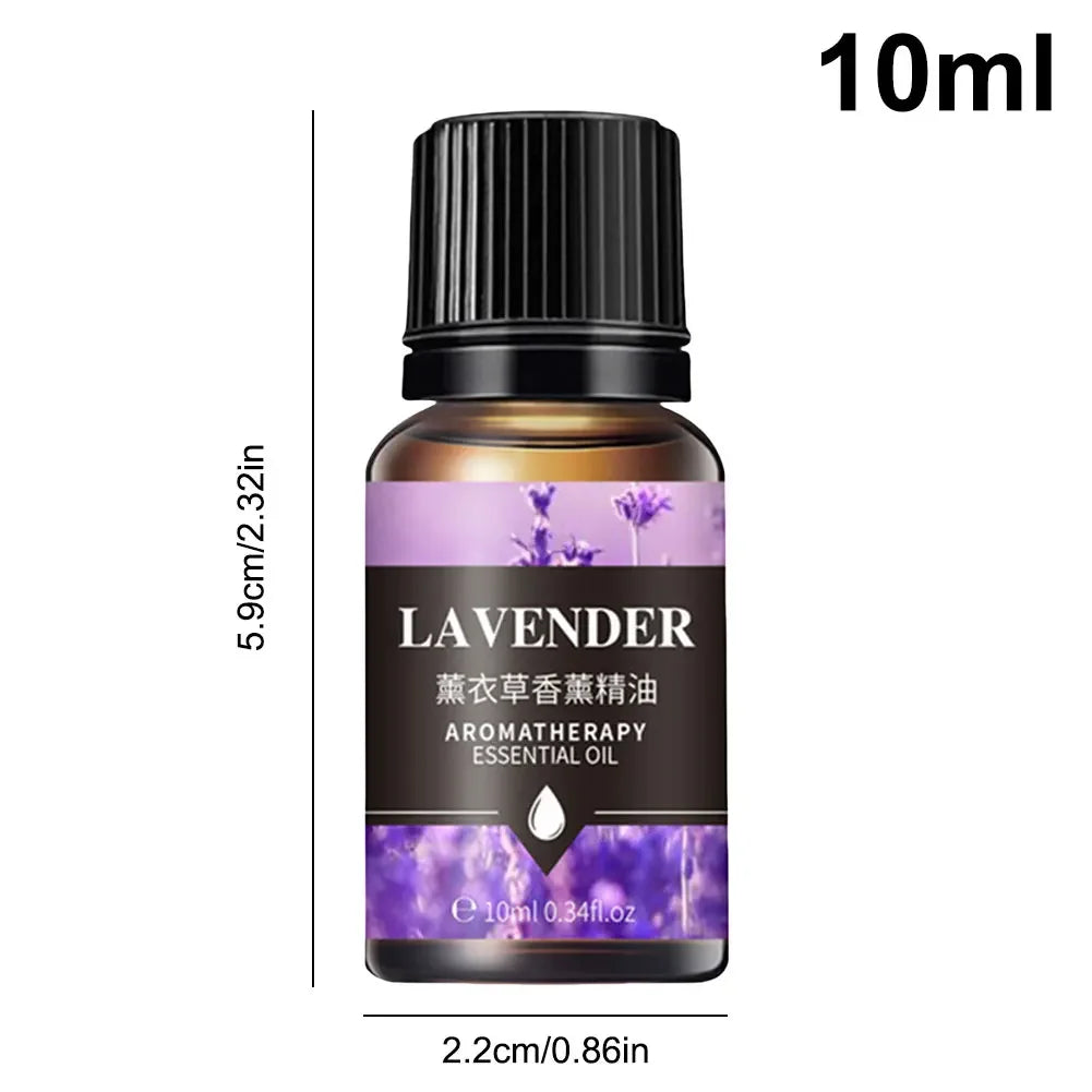 10ML Lavender White Tea