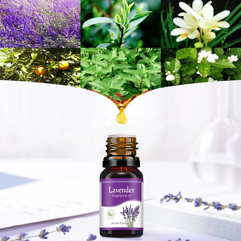 12 Flavors Essential Oils for Aroma Diffuser