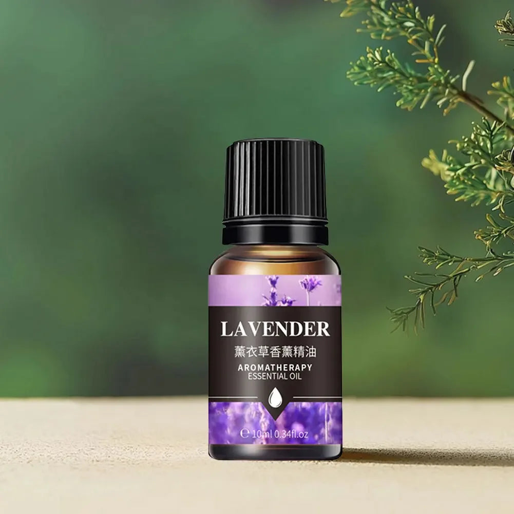 10ML Lavender White Tea